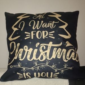 Seasonal throw plush pillow!